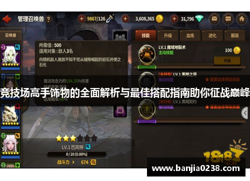 竞技场高手饰物的全面解析与最佳搭配指南助你征战巅峰