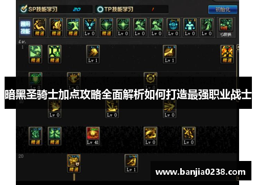 暗黑圣骑士加点攻略全面解析如何打造最强职业战士