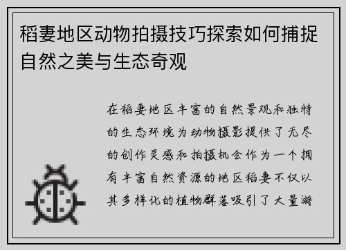 稻妻地区动物拍摄技巧探索如何捕捉自然之美与生态奇观